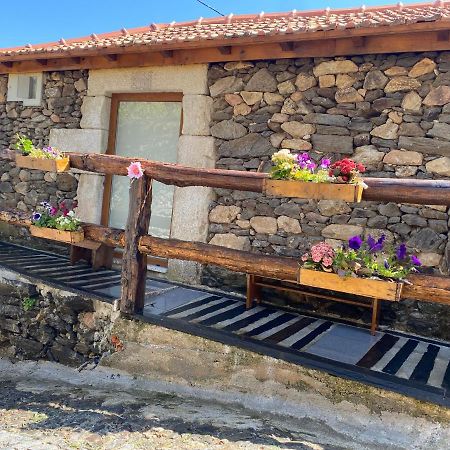 Casa Das Flores Lamego Esterno foto