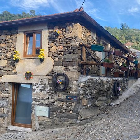 Casa Das Flores Lamego Esterno foto