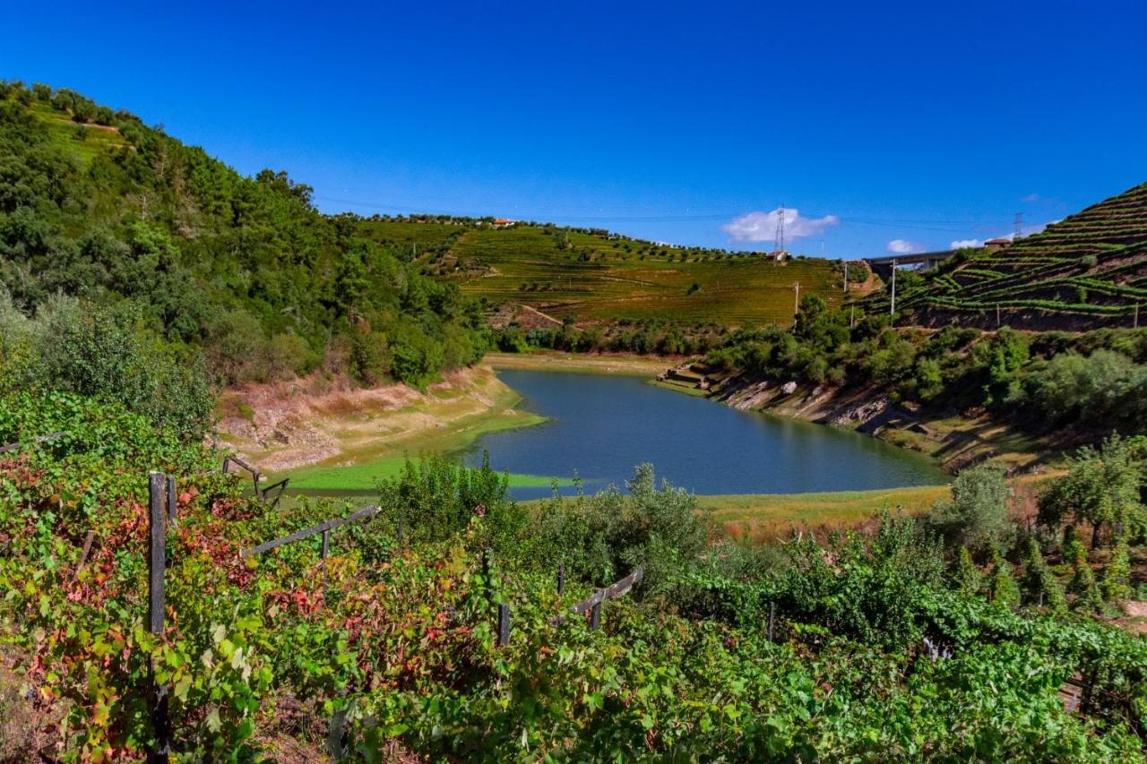 Casa Das Flores Lamego Esterno foto