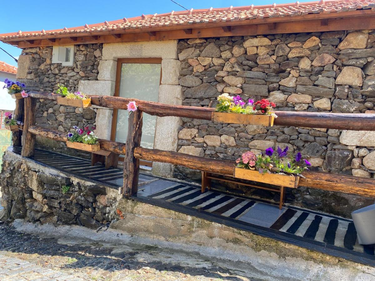 Casa Das Flores Lamego Esterno foto