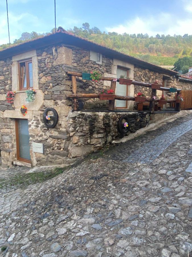 Casa Das Flores Lamego Esterno foto